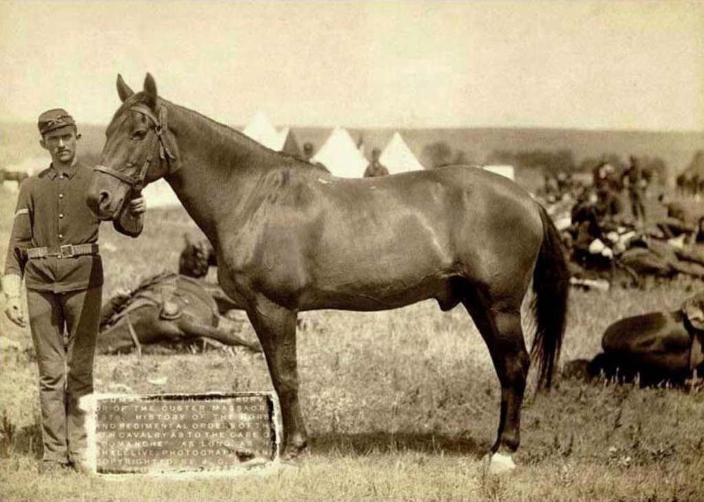 Comanche in 1887